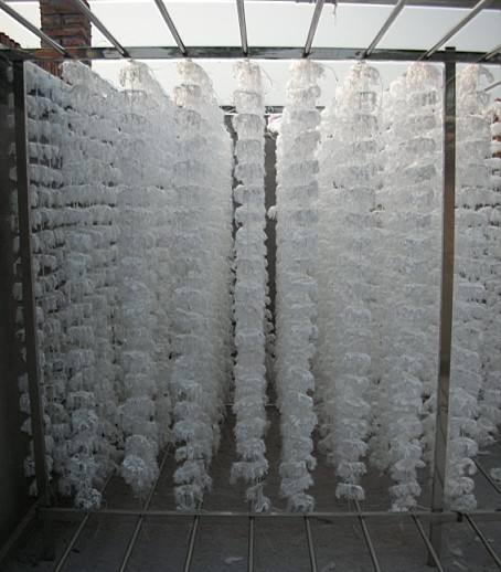 生物填料的這些特點，知道的人不多！